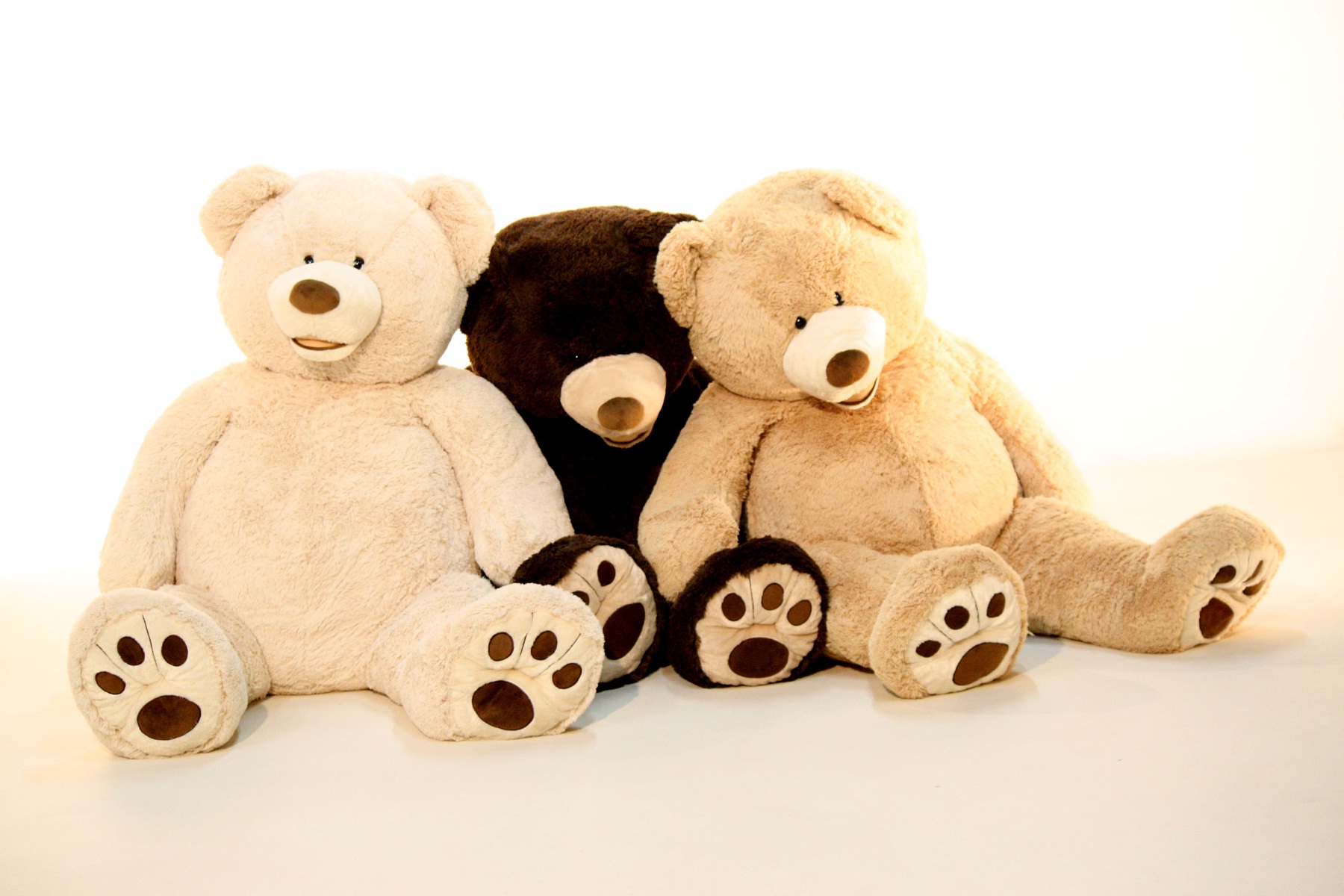 Latest-Three-Teddy-Bears-HD-Wallpapers.jpg