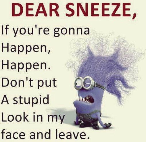 funny-minion-captions-256-508x494.jpg