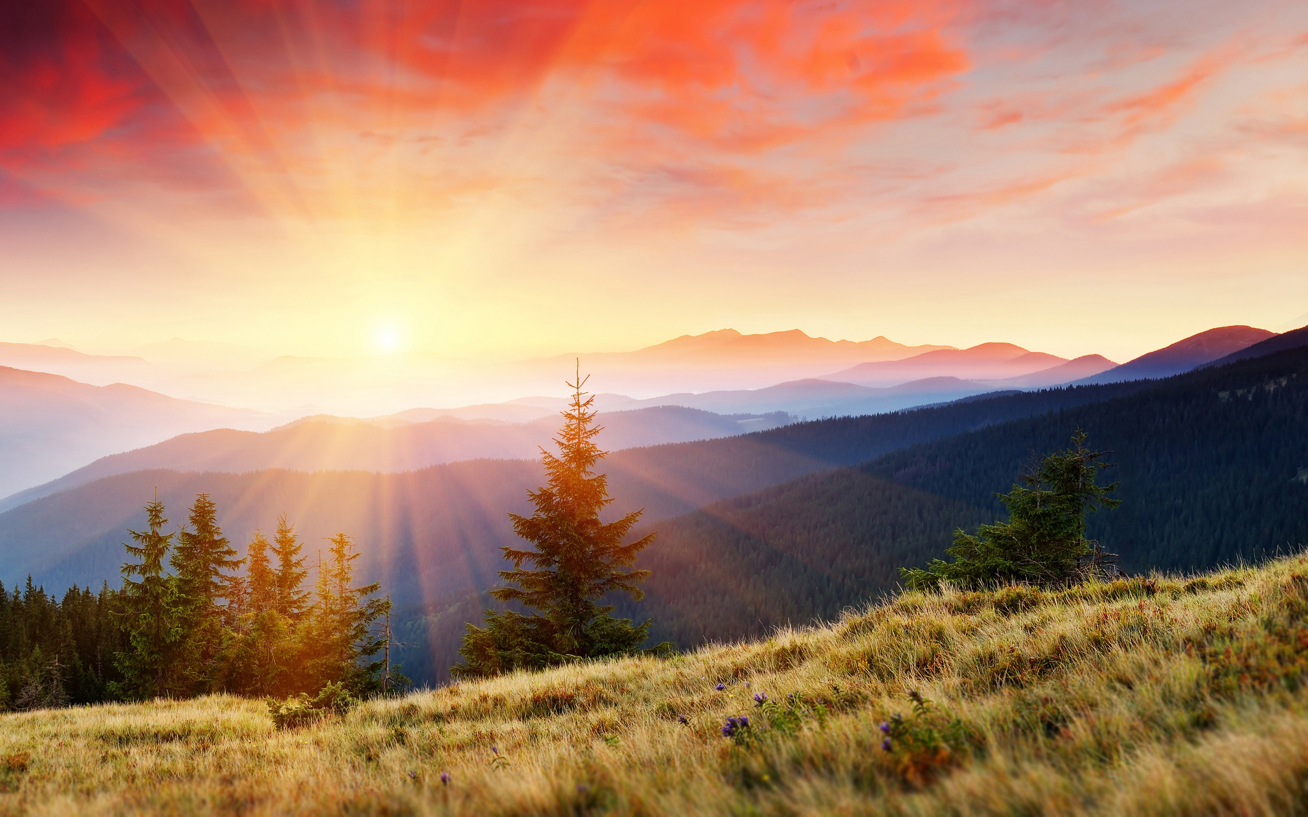 stunning-mountain-sunrise-2560x1600.jpg