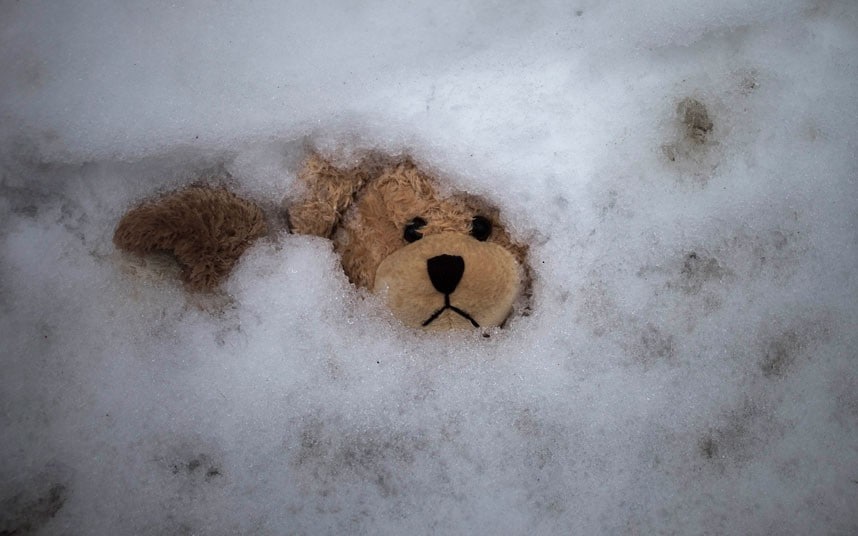 snow-teddy_2438022k.jpg