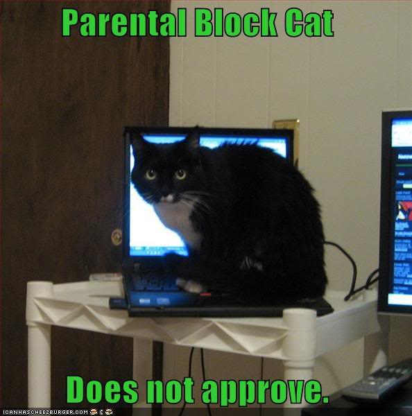 lolcat-funny-picture-parental-block.jpg