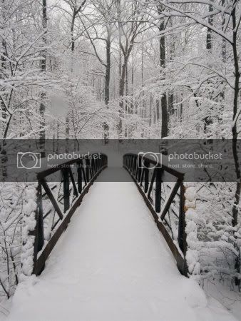 wintersnowblackwhitefootbridge.jpg