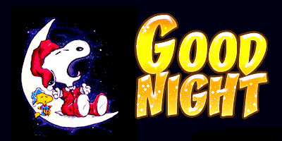 goodnightsnoopy.gif