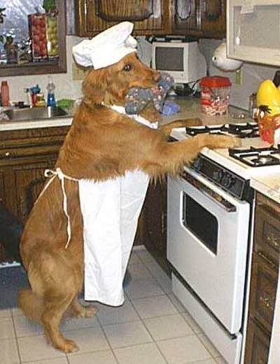 dog_chef.jpg