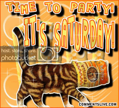 saturday-cat-party.gif
