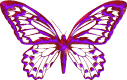 Butterfly322.gif