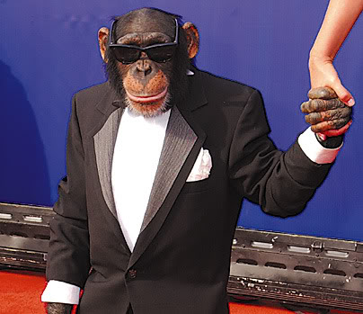 Monkey-Actor-C.jpg