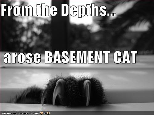 funny-pictures-basement-cat-clw.jpg