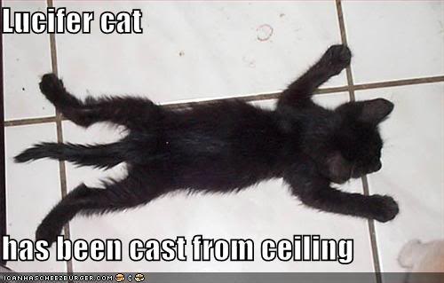 funny-pictures-lucifer-cat-on-floor.jpg