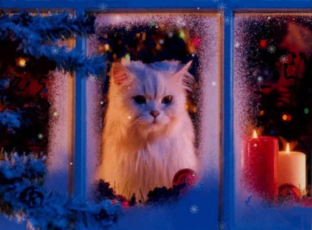 kitty-christmas-cute-cat_zpsd6a0466d.png