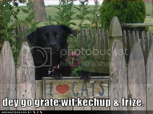 funny-dog-pictures-kechup-frize.jpg