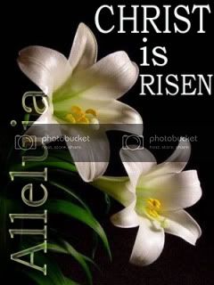 easter-lily-Christ-risen.jpg