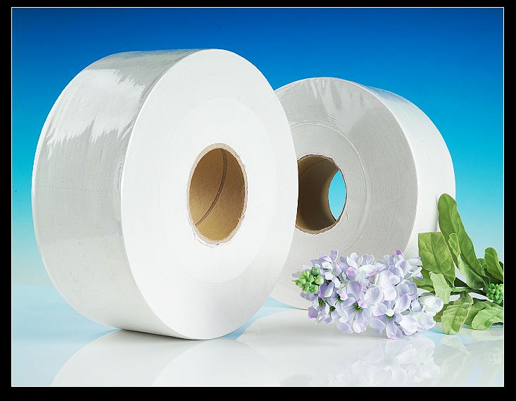 Jumbo-Roll-Toilet-Tissue-SE-1001-.jpg