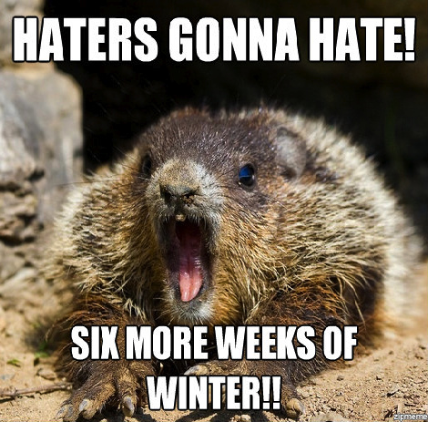 groundhog-day-memes.jpg