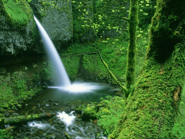 Beautiful-waterfall-creations-god-the-creator-9998919-640-480.jpg