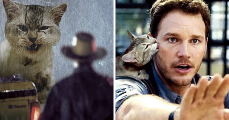 someone-replaced-jurassic-park-dinosaurs-with-kittens-and-its-hilarious-758x397.jpg