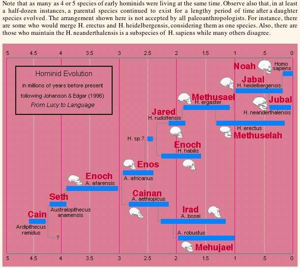 ChartSpecies2.jpg