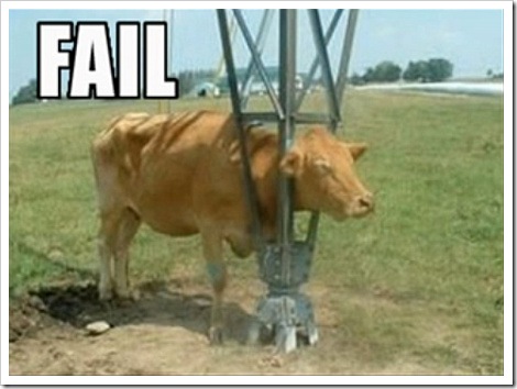 cow_fail2.jpg
