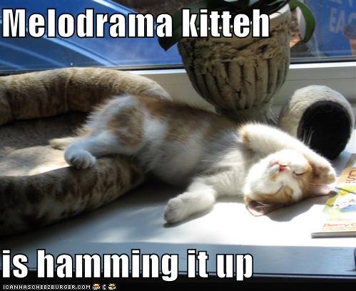 funny-pictures-melodrama-cat.jpg
