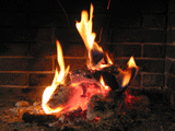 88304242.WvCEWHgY.Fireplace2bs4.gif
