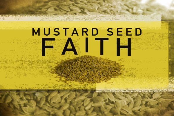 mustard-seed-faith2.png