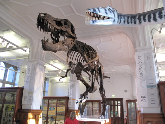 t-rex-and-plesiosaur.jpg