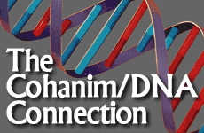 The_Cohanim_-_DNA_Connection_(medium)_(english).gif