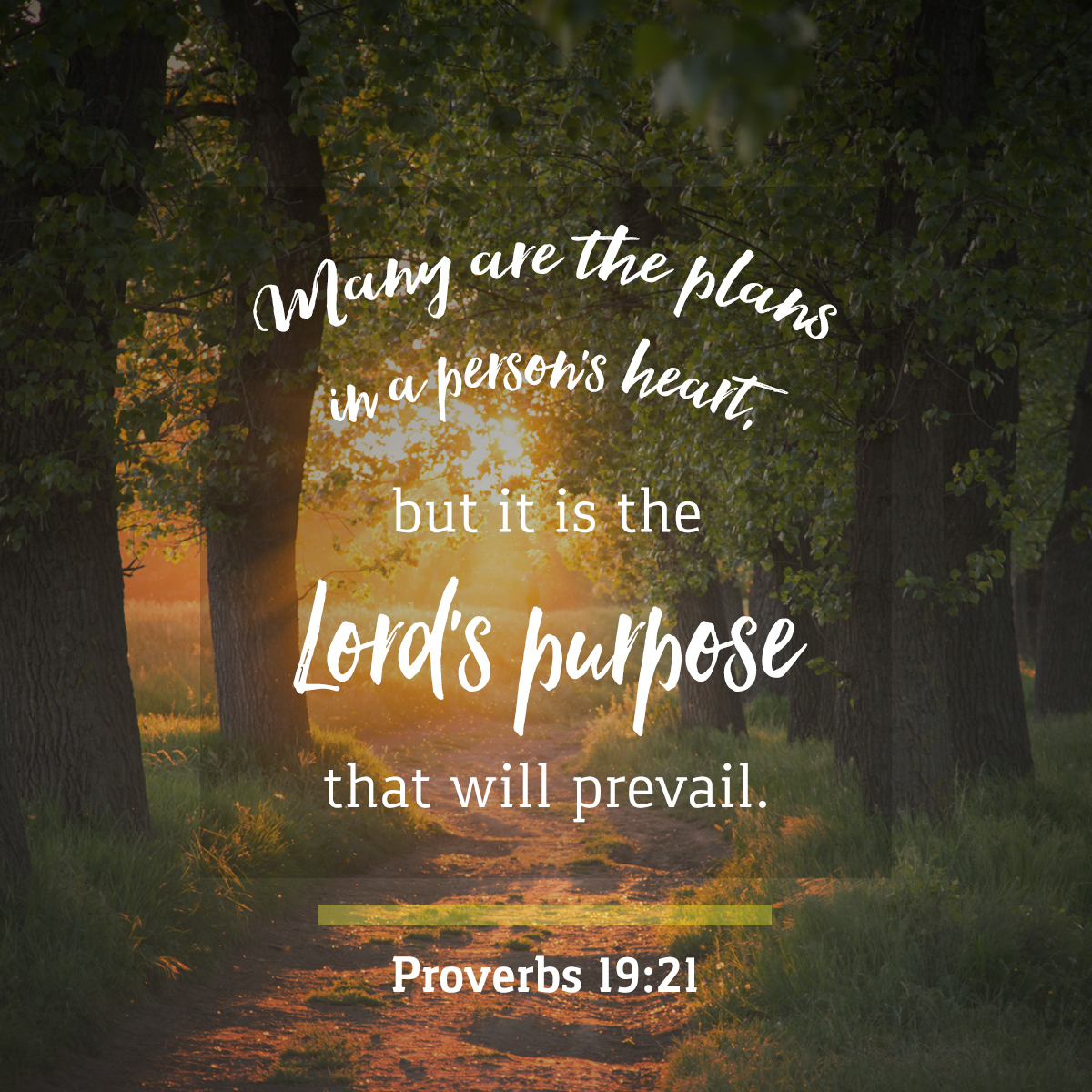 110916Proverbs19-21.jpg