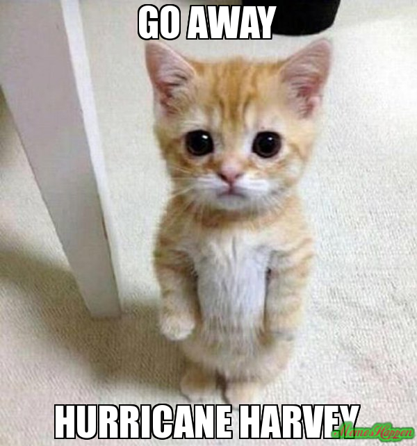 Go-Away-Hurricane-Harvey.jpg