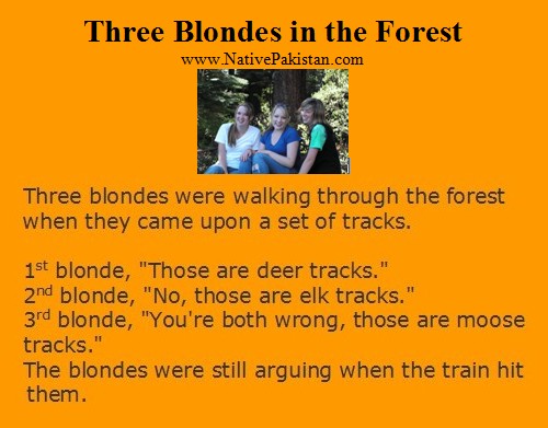 Blonde-Jokes-Three-Blondes-in-the-Forest-Blonde-Humor-Clean-Blonde-Jokes.jpg