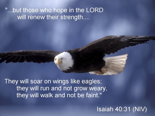 isaiah_40_31_niv2.jpg