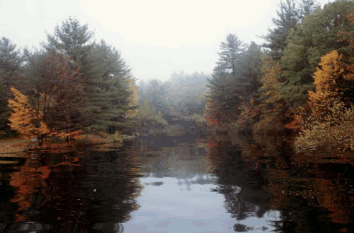 peaceful_river_animation_by_aparks45-d3fghjk.gif