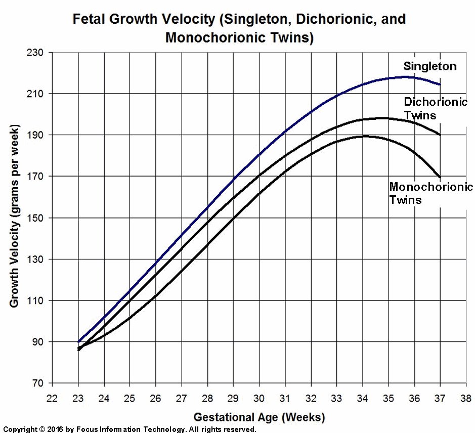 Growth%20Velocity.jpg