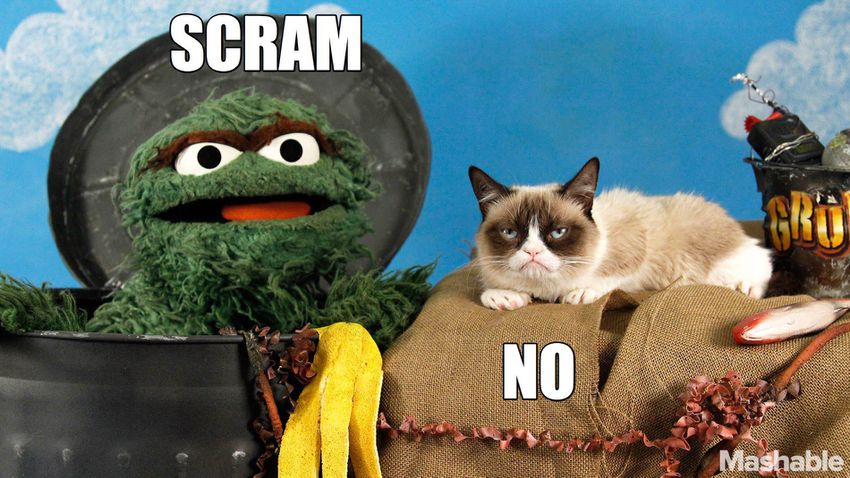 oscargrumpy28-scram.jpg