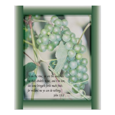 i_am_the_vine_scripture_art_poster-p228639726237135434qzz0_400.jpg