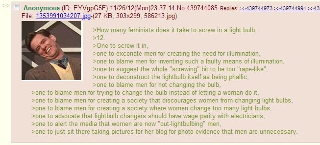 How+many+feminists+does+it+take....+Not+OC+just+found_cee500_4262664.jpg