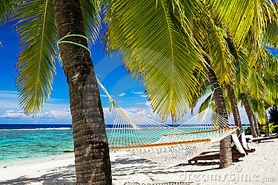 hammock-palm-trees-tropical-beach-24055215.jpg