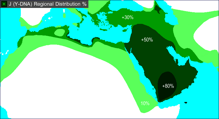 J-Y-DNA-Distribution.jpg