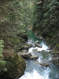 250px-Lynn_canyon_park_lynn_creek.jpg