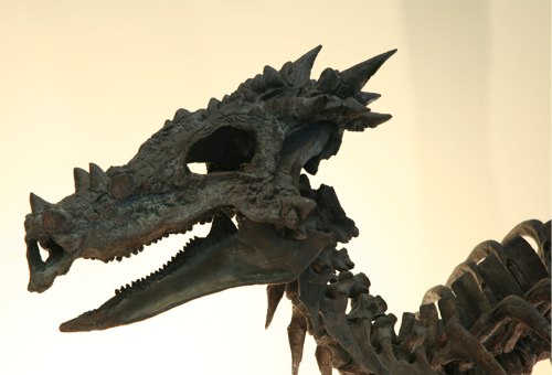 dracorex.jpg