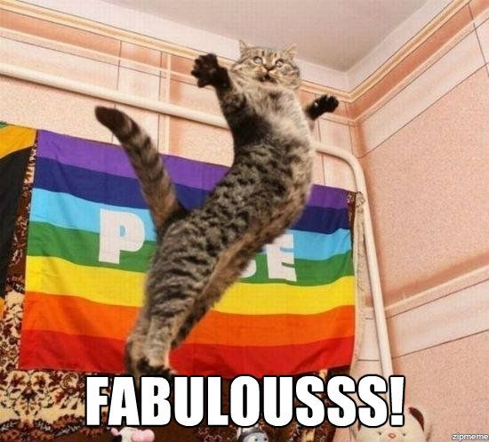 fabulous-cat-meme.jpg