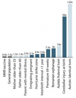 autism_risk_graph_300.jpg