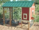 playhouse-coop-2-tn.jpg