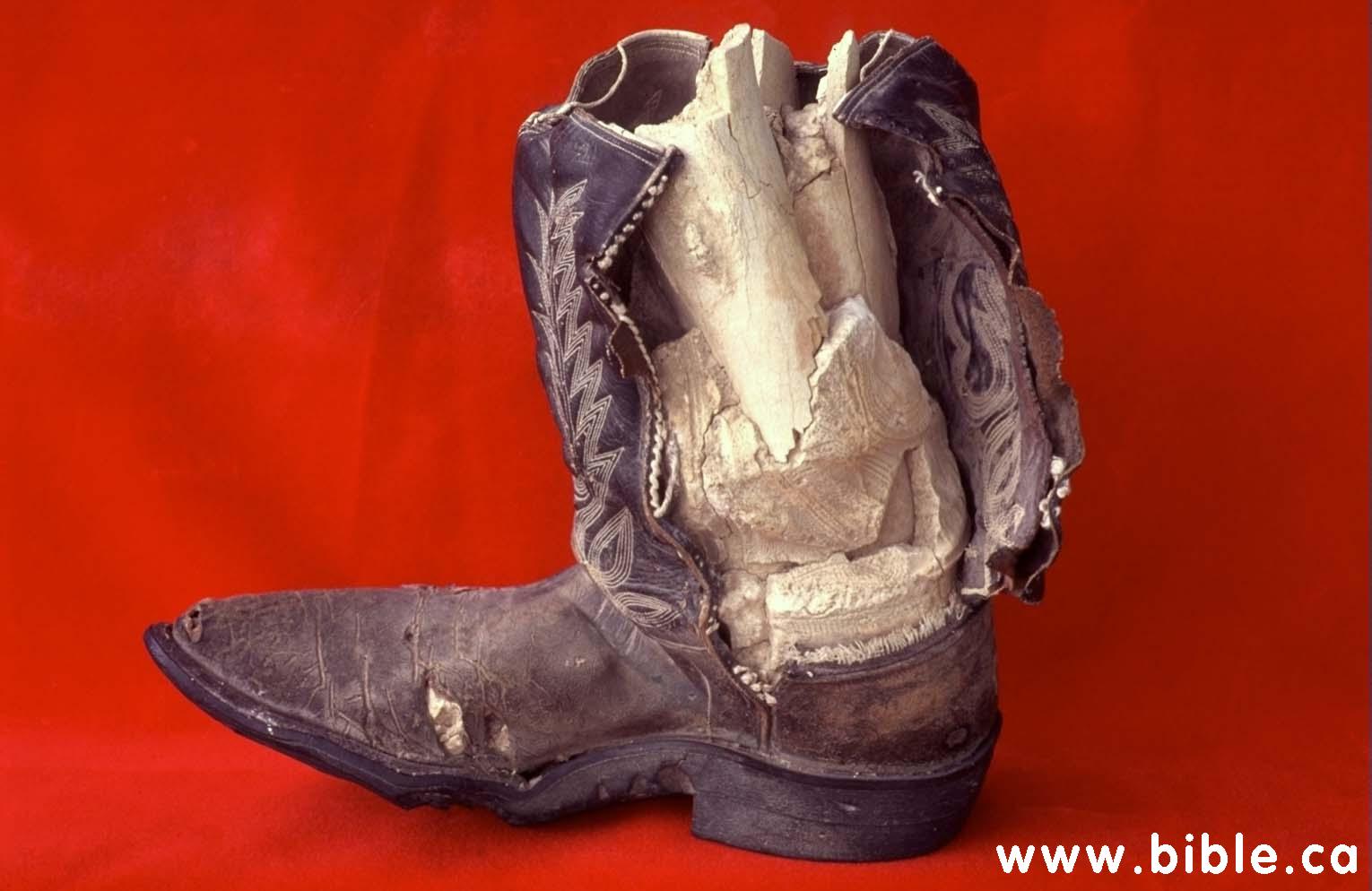 limestone-cowboy-boot-inside.jpg