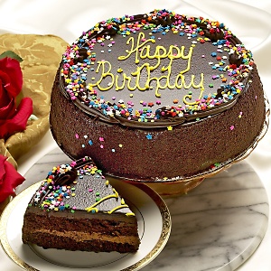 two-layer-chocolate-cake-21314821.jpg