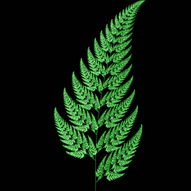 Fern.gif