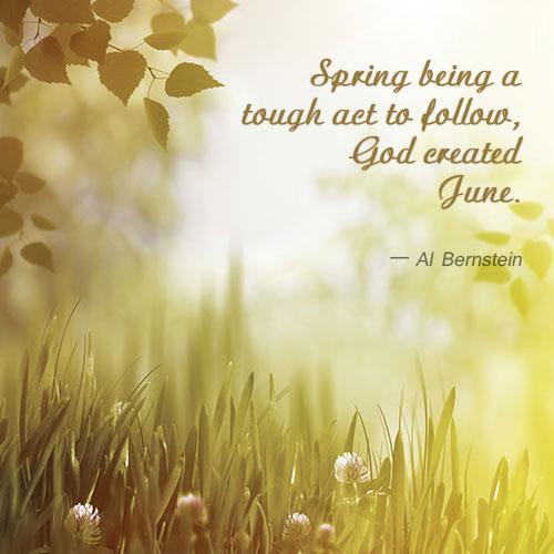 al-bernstein-quote-about-june-month.jpg