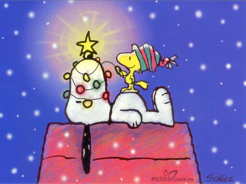 merry-christmas-snoopy-9066336-800-600.jpg