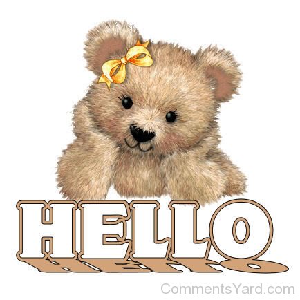 Hello-Teddy-Bear.jpg