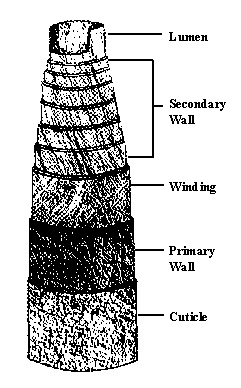 figure7.gif